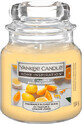 Yankee Candle Candela profumata agli agrumi e alle spezie, 104 g