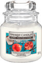 Yankee Candle Candela profumata al cocco e melograno, 104 g