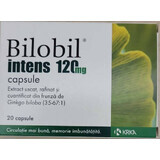 Bilobil Intens 120 mg, 20 capsules, Krka