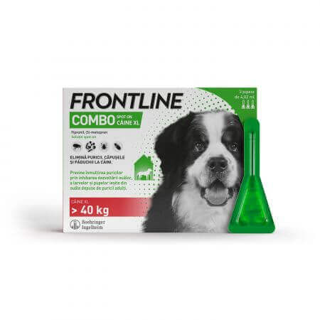Frontline Combo Spot On dog XL - Pipetta verde da 4,05 ml, 3 pipette, Frontline