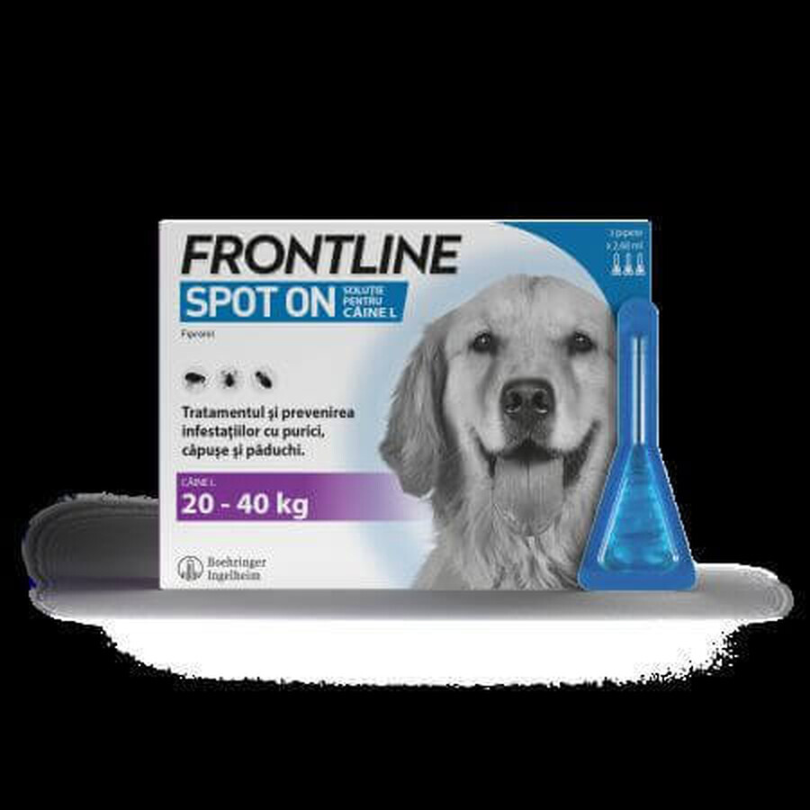 Frontline Spot On L, 20-40 kg, 3 Pfeifen, Frontline