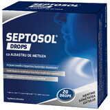 Septosol with methylene blue X 20 drops, Biofarm