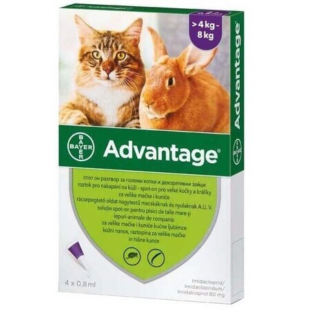 Soluzione antiparassitaria per applicazione cutanea su gatti e conigli di peso superiore a 4 kg Advantage 80 Gatto/Coniglio, 4 pipette, Bayer Vet OTC