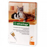 Soluzione antiparassitaria per applicazione cutanea su gatti e conigli di peso inferiore a 4 kg Advantage 40 Gatto/Coniglio, 4 pipette, Bayer Vet OTC