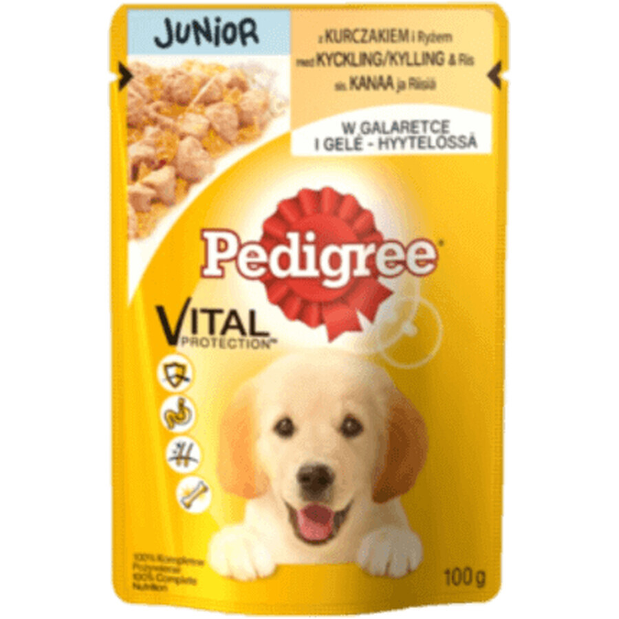 Pedigree Comida húmeda junior perro con pollo y arroz, 100 g