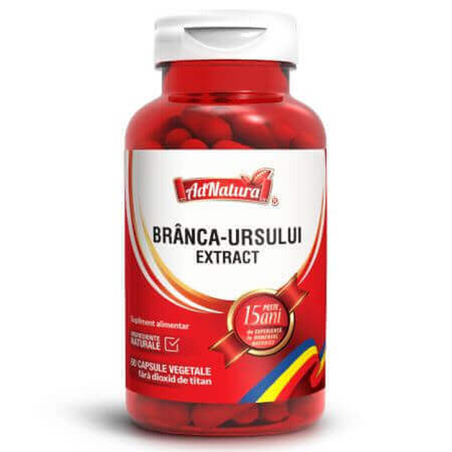 Estratto di Branca Ursului, 60 capsule, AdNatura