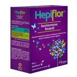 Hepiflor Saccharomyces Boulardii, 10 bustine, Terapia