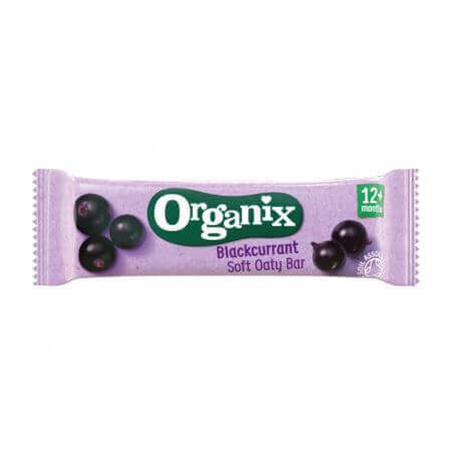 Organic whole oat bar with apples and blackcurrants, 12 months+, 23 g, Organix