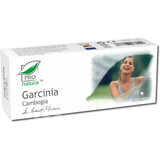 Garcinia Cambogia, 30 capsules, Pro Natura