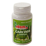 Garcinia Complex, 60 capsules, Adams Vision