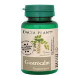 Gastrocalm, 60 tablets, Dacia Plant