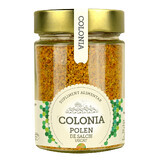 Colonia de polen de sauce seco, 200 g, Evicom Miel