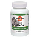 Super Chaga Mushroom Wisdom, 120 vegetarian tablets, Secom