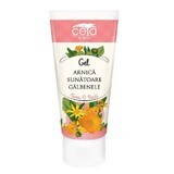 Gel mit Extrakten aus Arnika, Johanniskraut und Ringelblume, 50 ml, Ceta Sibiu