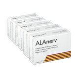 Alanerv package, 100 (5 x 20) soft capsules, Alfasigma