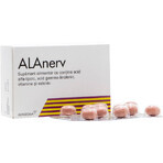 Confezione ALAnerv, 100 (5 x 20) capsule softgel, Alfasigma