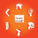 Collanol Pack, 2 x 20 capsules, Vitaslim