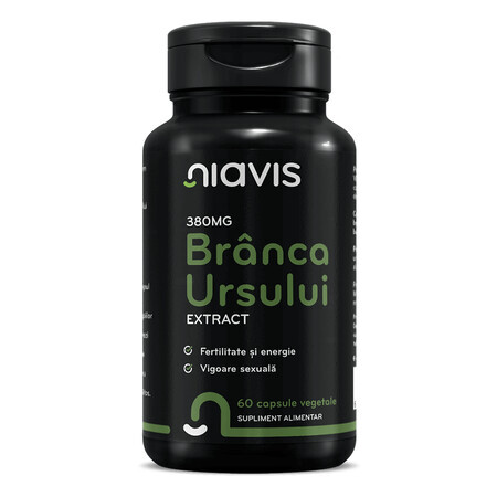 Estratto di Branca Ursului, 380 mg, 60 capsule, Niavis