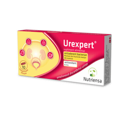Urexpert, 10 compresse rivestite con film, Antibiotice SA