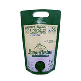 Detergente eco concentrato per bucato al profumo di fiori, 2 L, Lavanderina