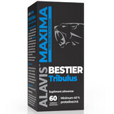 Bestier Tribulus Alavis Maxima, 60 vegetarian capsules, Alavis Maxima