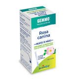 Rosa Canina Gemmo extract of poppy seed, 60 ml, Boiron