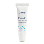 Lanolin for lips Lip Care, 10 g, Ziaja