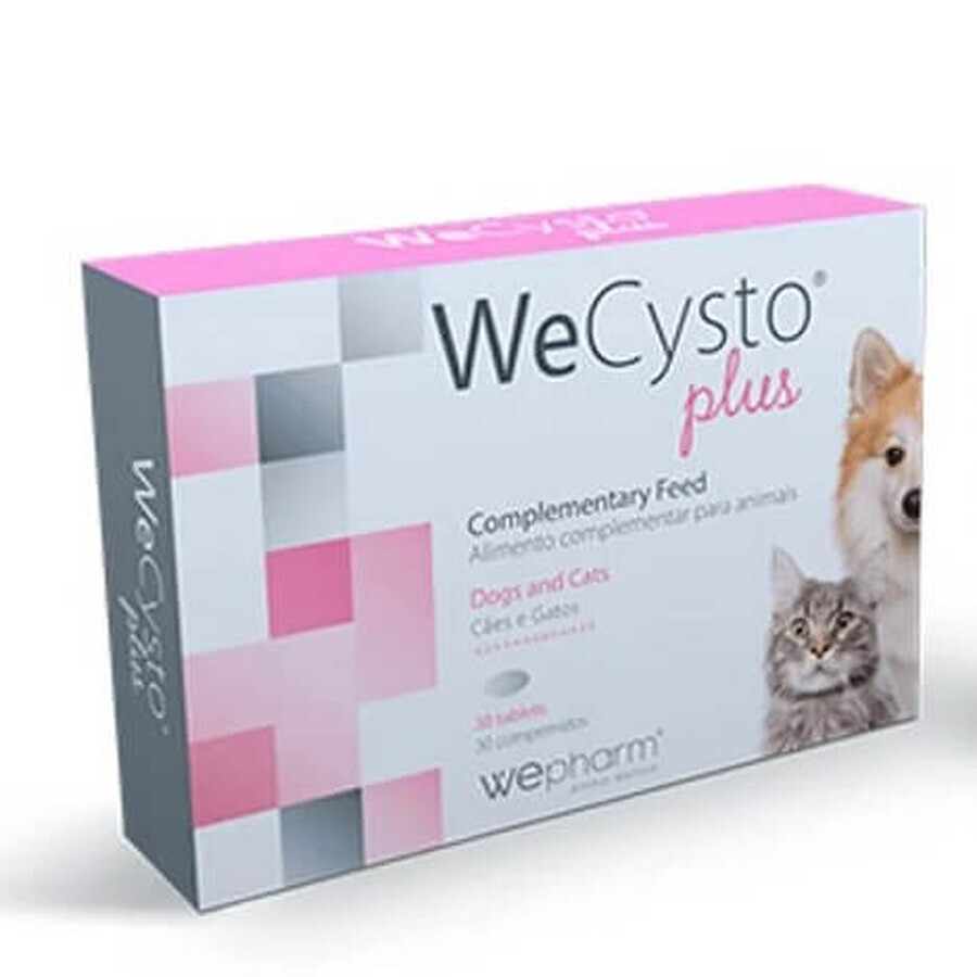 Nahrungsergänzungsmittel zur Unterstützung der Harnfunktion bei Katzen WeCysto Plus, 30 Kapseln, WePharm