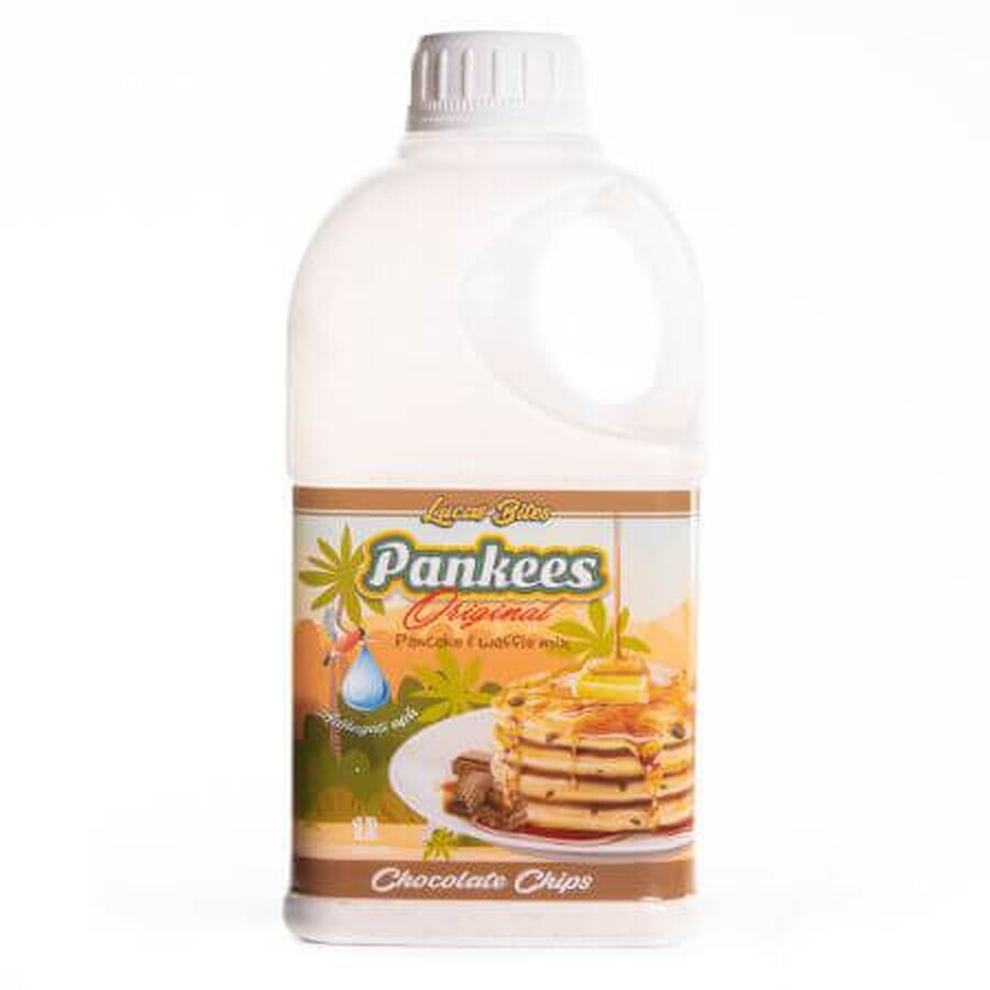 Chocolate Chips Pankees Pancake and Waffle Flour Mix, 290g, Lucas Bites