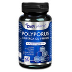 Fungo Polyporus con foglie, 60 capsule, DVR Pharm