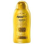 Shampoo illuminante per capelli Olio, 300 ml, Splend'or