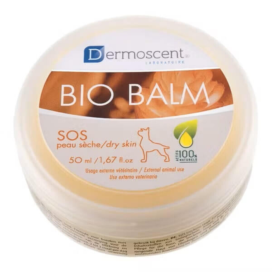 Unguento per la cura della pelle secca delle zampe e del naso, per il trattamento dei calli decubitali e delle abrasioni interdigitali nei cani Bio Balm, 50 ml, Dermoscent