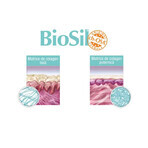 Advanced Collagen Generator, 60 capsules, Biosil