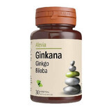 Ginkana Ginkgo Biloba 40 mg, 30 tablets, Alevia