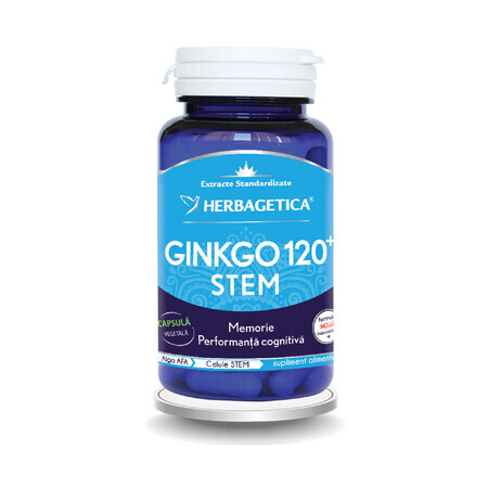 Ginkgo 120 Stem, 60 gélules, Herbagetica