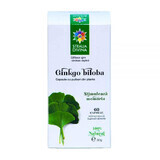 Ginkgo Biloba, 60 capsule, Stella Divina