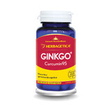 Ginkgo Curcumin95, 60 capsule, Herbagetica