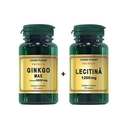 Ginkgo Max 6000 mg, 60 capsules + Lecithin 1200 mg, 30 capsules, Cosmopharm