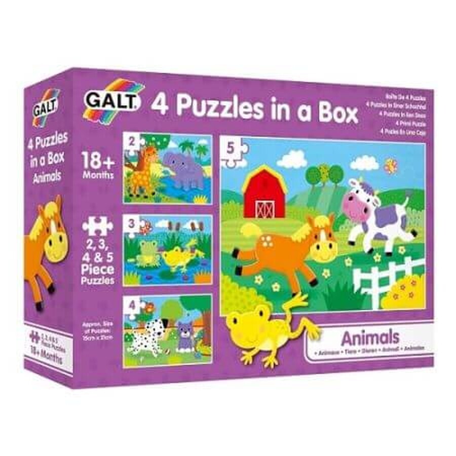 Set di 4 puzzle, +18 mesi, Galt