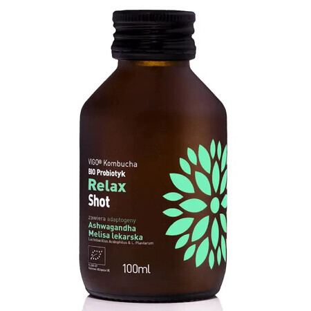 Organic fermented tea with probiotics Kombucha Shot Relax, 100 ml, Vigo