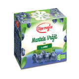 Blueberry tea Magic Clipe, 20 sachets, Fares