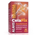 CelaFix, 30 capsule vegetali, Alavis Maxima