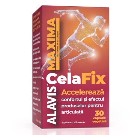 CelaFix, 30 capsule vegetali, Alavis Maxima