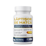 Matchaboter, 60 softgels, Nutrific