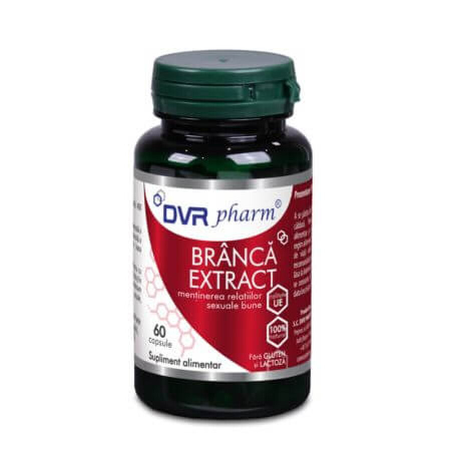 Bearberry Extract, 60 capsules, DVR Pharm