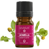 Aktivkosmetik Acmella-Extrakt (M - 1267), 5 ml, Mayam