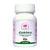 Gokhru, tonico maschile, 60 capsule, Herba Ayurvedica