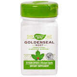 Goldenseal Root 570 mg Natures Way, 30 capsule, Secom