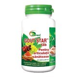 Gotta Star, 100 compresse, Ayurmed