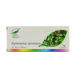 Gymnema Sylvestre, 30 capsule, Pro Natura